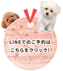 LINEでのご予約はこちらをクリック！